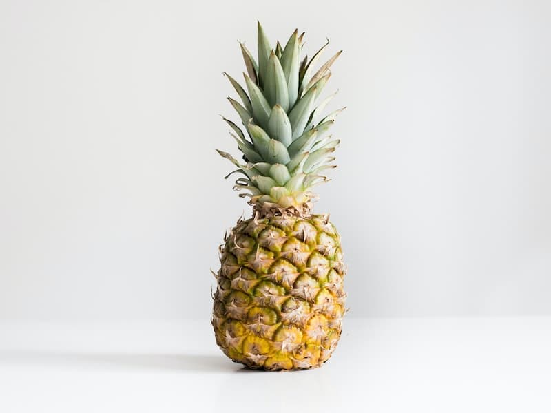 Complete Web Development Bootcamp