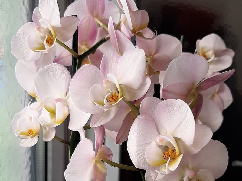 Advanced JavaScript Patterns