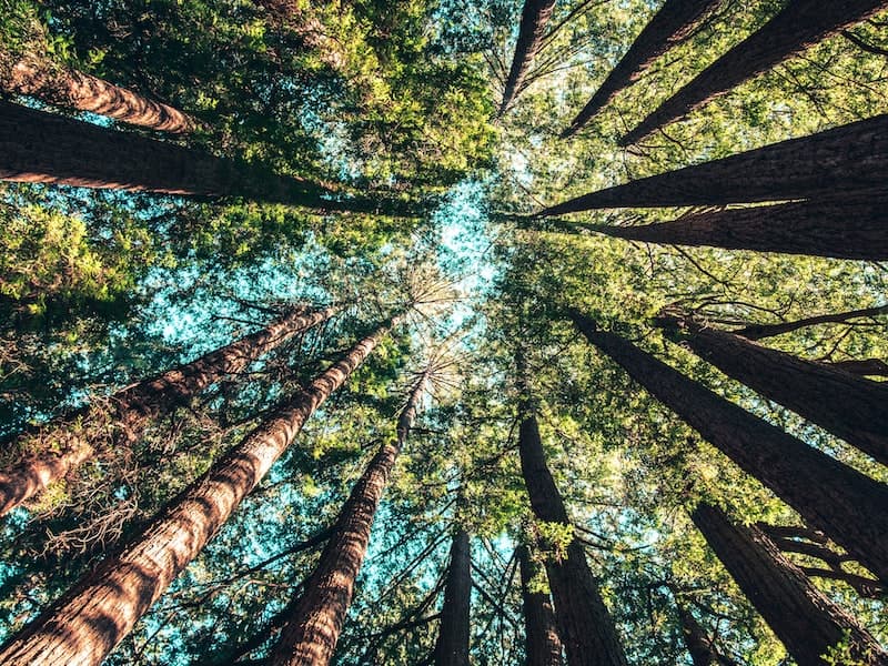 DevOps and CI/CD Pipeline