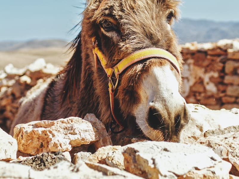 Cloud Architecture with AWS