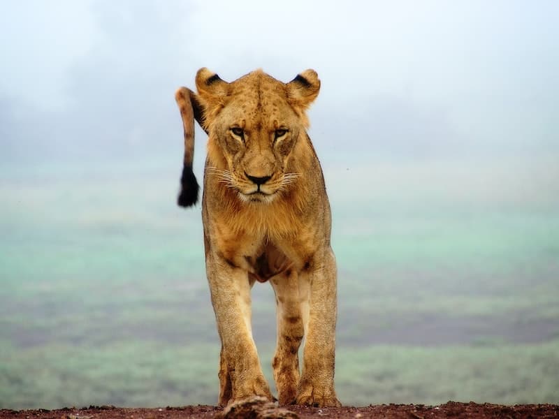 Cybersecurity Fundamentals